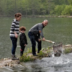 Kulbaki trout