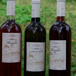 Wine "Bukistsikhe"