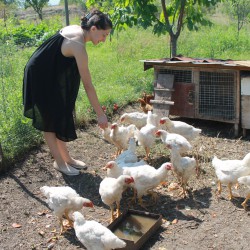 Anusia`s Chickens