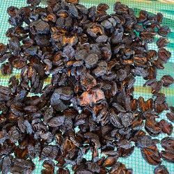 Inga`s Dried Fruit